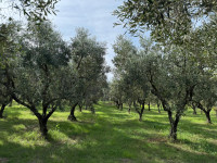 /album/galleria-di-foto/whatsapp-image-2025-10-12-at-15-30-28-jpeg/